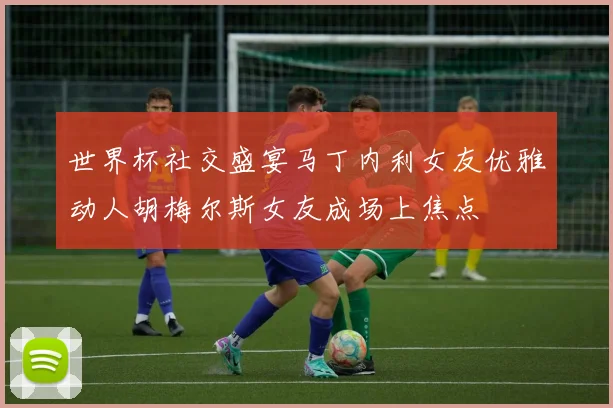 世界杯社交盛宴马丁内利女友优雅动人胡梅尔斯女友成场上焦点